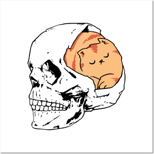 A CAT SLEEPING IN A SKULL gift for you Posters and Art